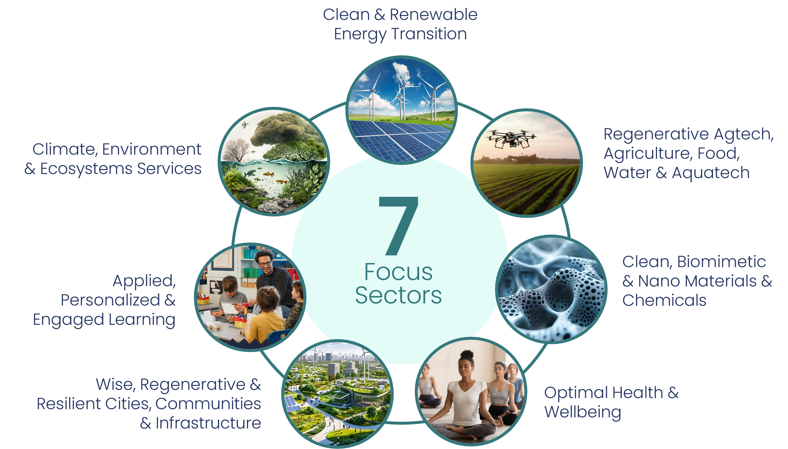 ARIIVL 7 Focus Sectors circular visual