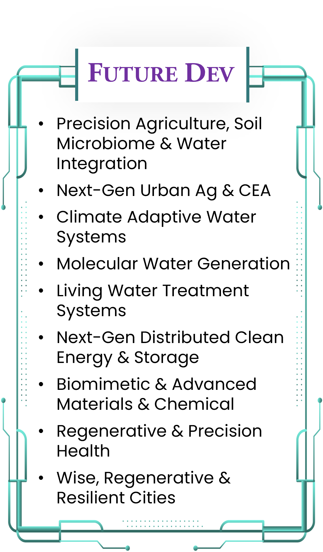 Future Dev